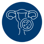 icon of cultures and female reproductive system