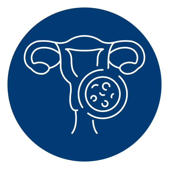 icon of cultures and female reproductive system