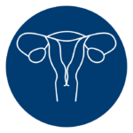 icon of female reproductive system