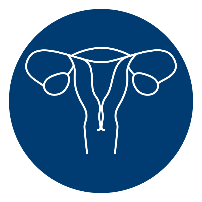 icon of female reproductive system