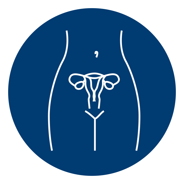 icon of female reproductive system