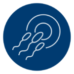 icon of sperm and female egg