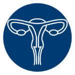 icon of female reproductive organs