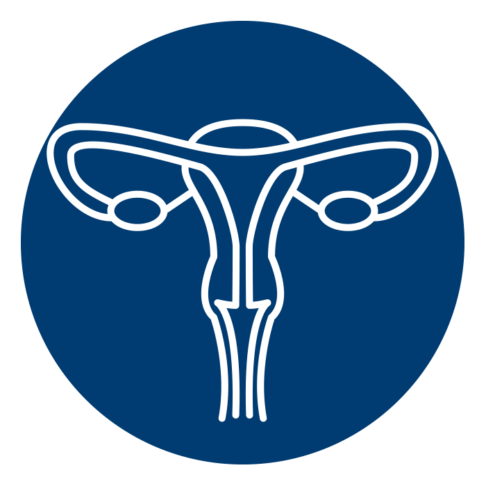 icon of female reproductive organs