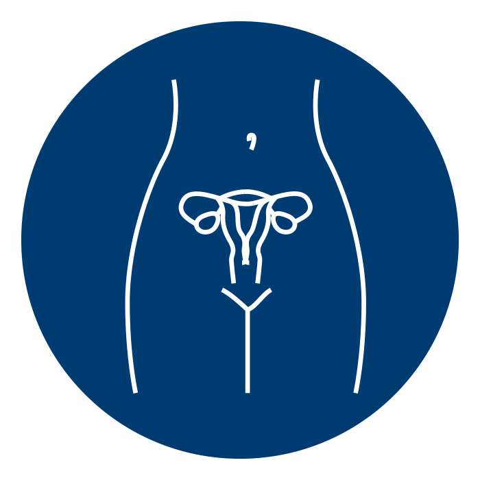 icon of female reproductive organs