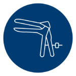 icon of speculum